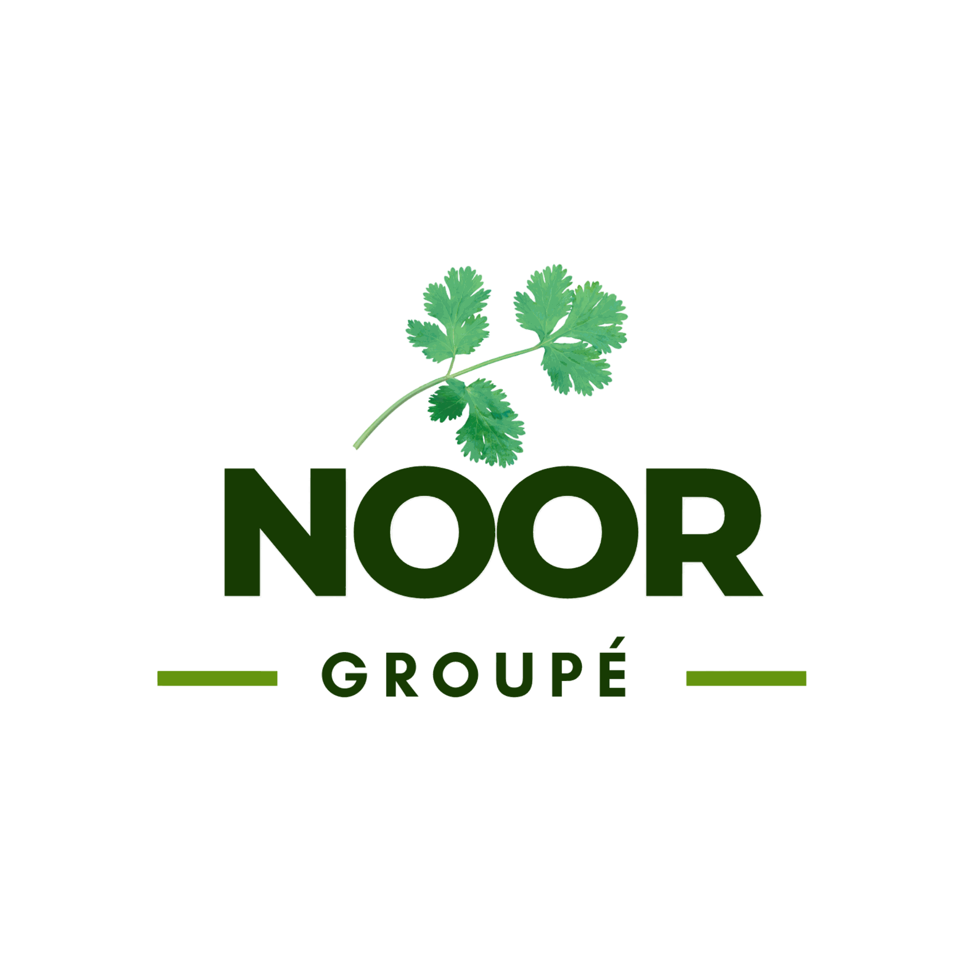 Noor Groupé